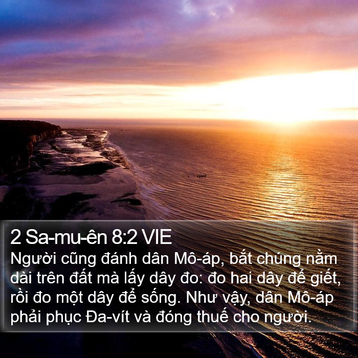 2 Sa-mu-ên 8:2 VIE Bible Study