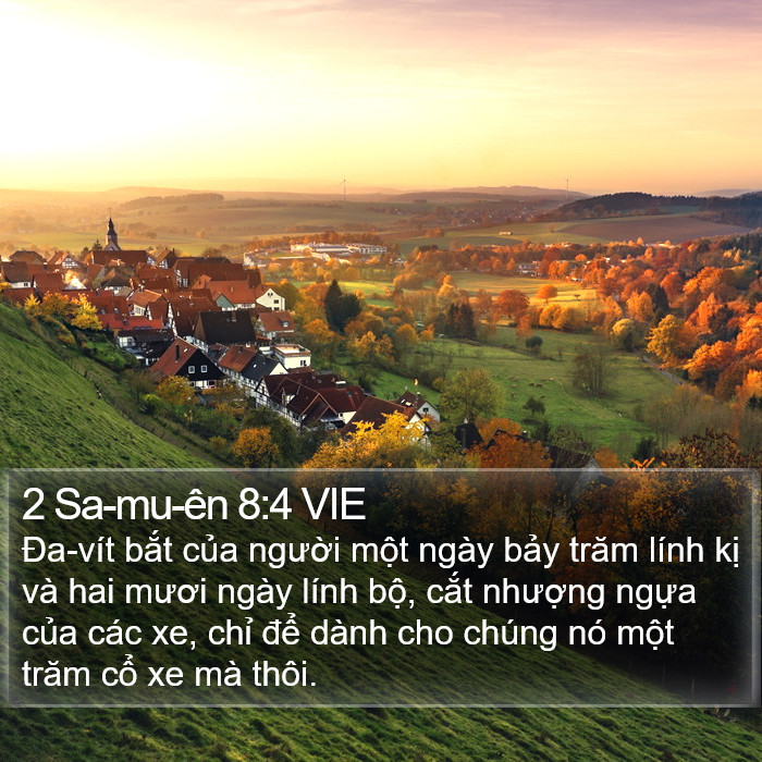 2 Sa-mu-ên 8:4 VIE Bible Study