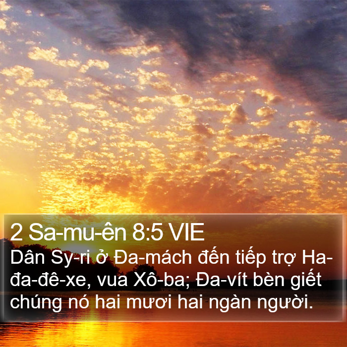 2 Sa-mu-ên 8:5 VIE Bible Study