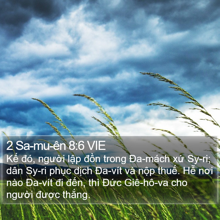 2 Sa-mu-ên 8:6 VIE Bible Study