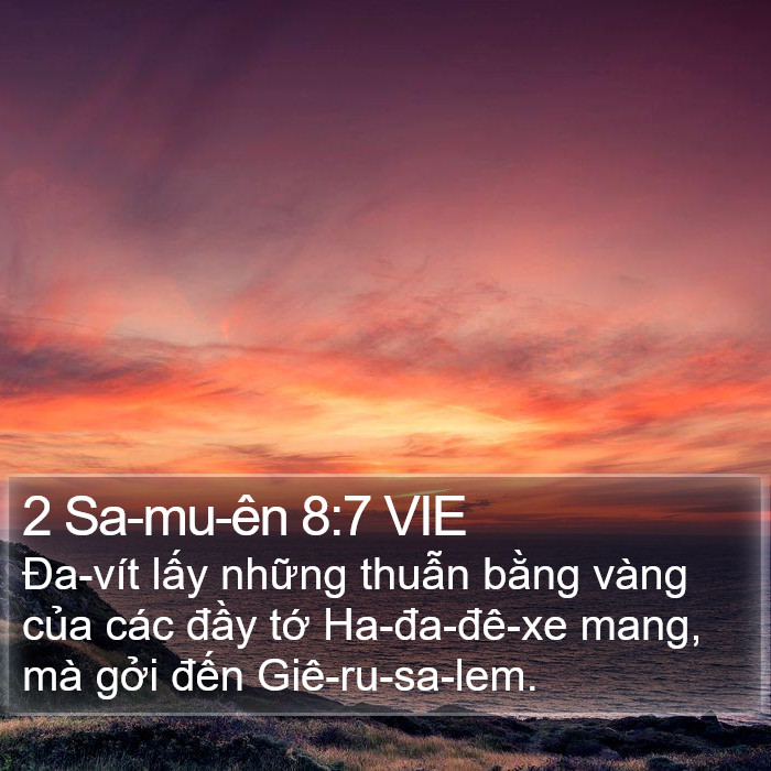 2 Sa-mu-ên 8:7 VIE Bible Study