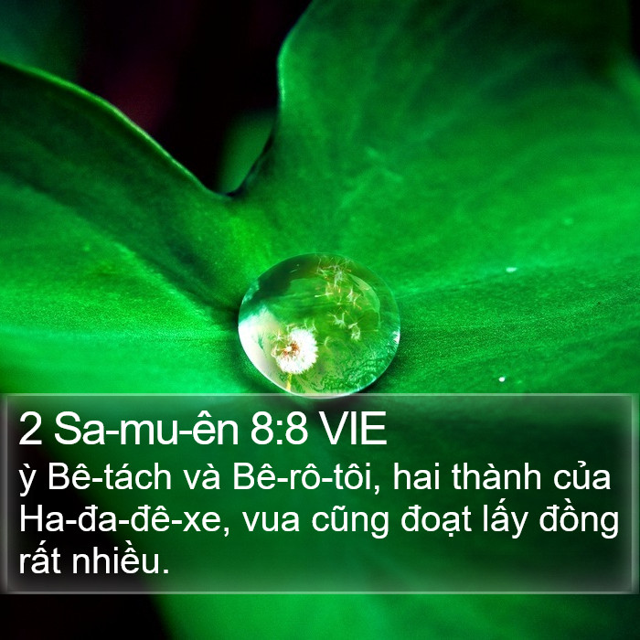 2 Sa-mu-ên 8:8 VIE Bible Study