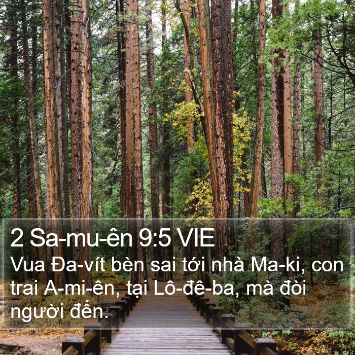 2 Sa-mu-ên 9:5 VIE Bible Study