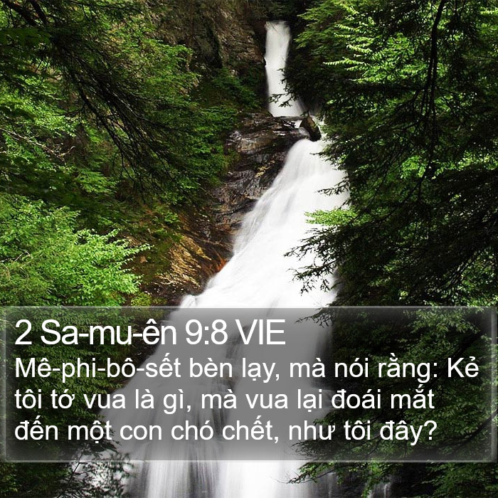 2 Sa-mu-ên 9:8 VIE Bible Study