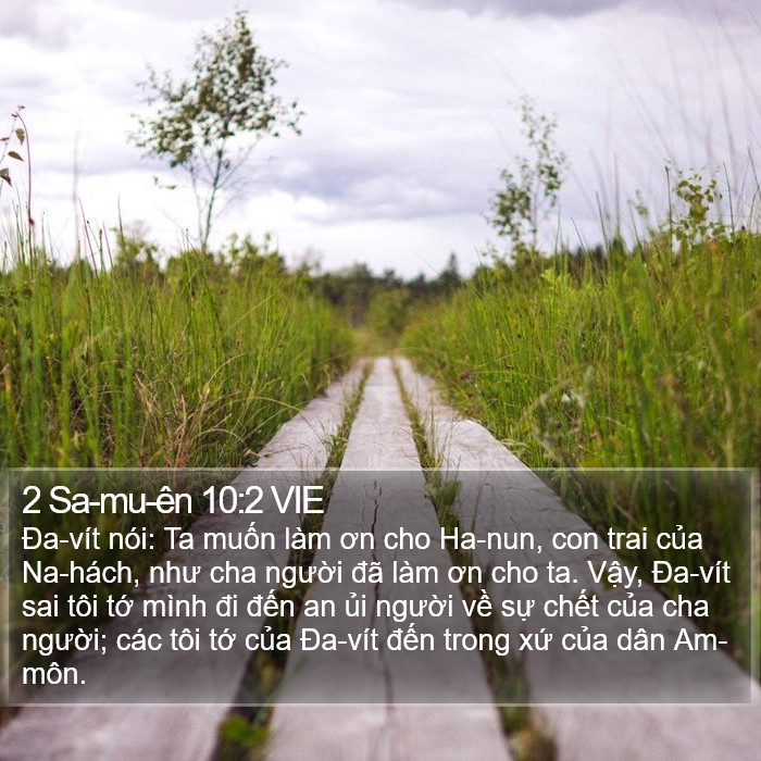 2 Sa-mu-ên 10:2 VIE Bible Study