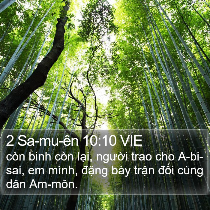 2 Sa-mu-ên 10:10 VIE Bible Study