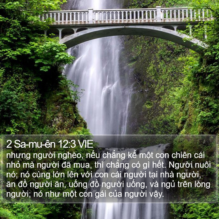 2 Sa-mu-ên 12:3 VIE Bible Study