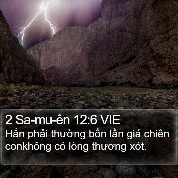 2 Sa-mu-ên 12:6 VIE Bible Study