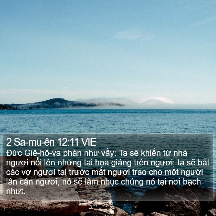 2 Sa-mu-ên 12:11 VIE Bible Study