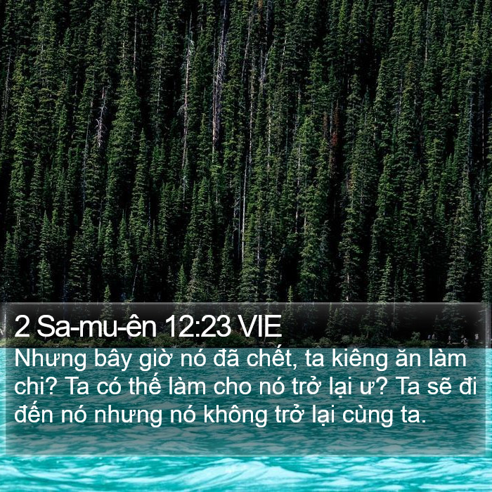2 Sa-mu-ên 12:23 VIE Bible Study