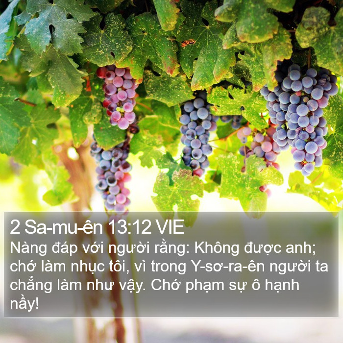 2 Sa-mu-ên 13:12 VIE Bible Study