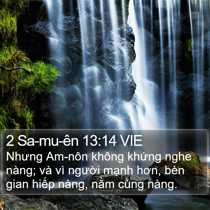 2 Sa-mu-ên 13:14 VIE Bible Study