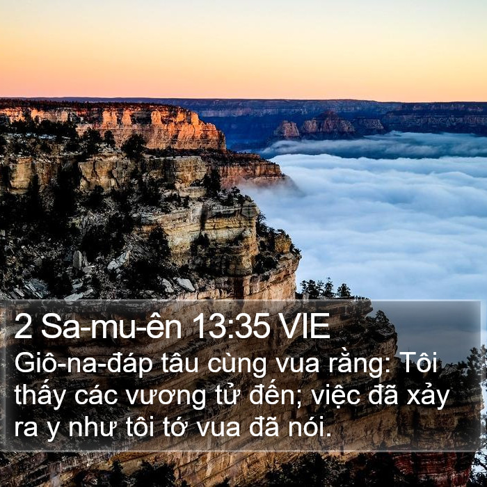 2 Sa-mu-ên 13:35 VIE Bible Study