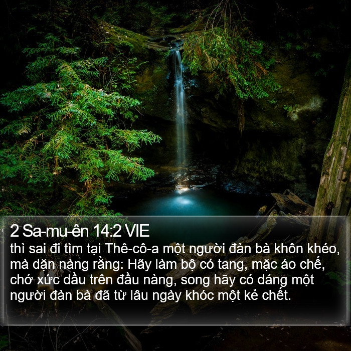 2 Sa-mu-ên 14:2 VIE Bible Study