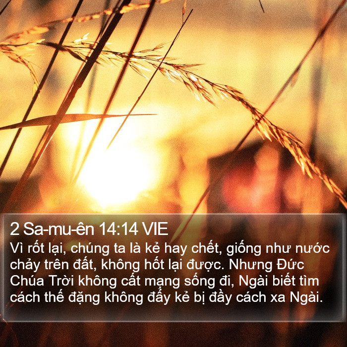2 Sa-mu-ên 14:14 VIE Bible Study