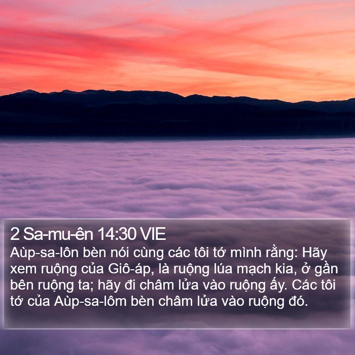 2 Sa-mu-ên 14:30 VIE Bible Study