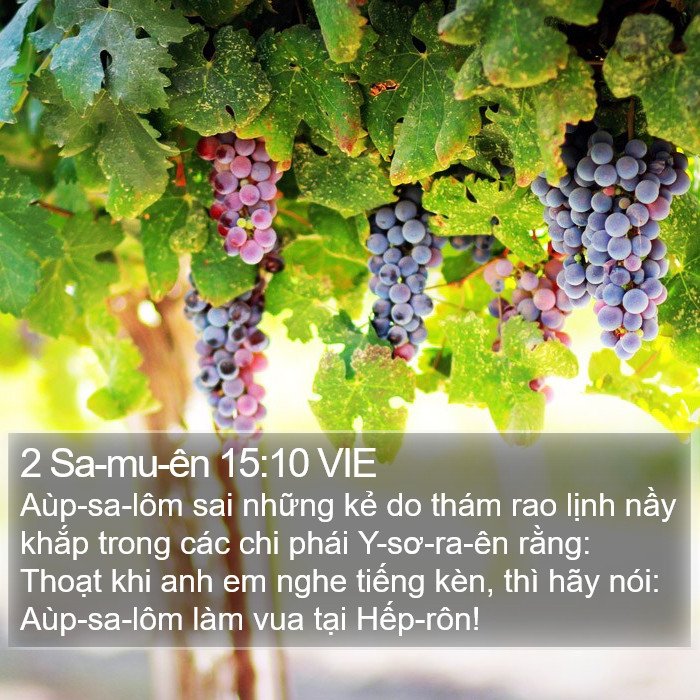 2 Sa-mu-ên 15:10 VIE Bible Study