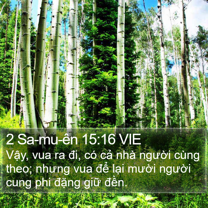 2 Sa-mu-ên 15:16 VIE Bible Study