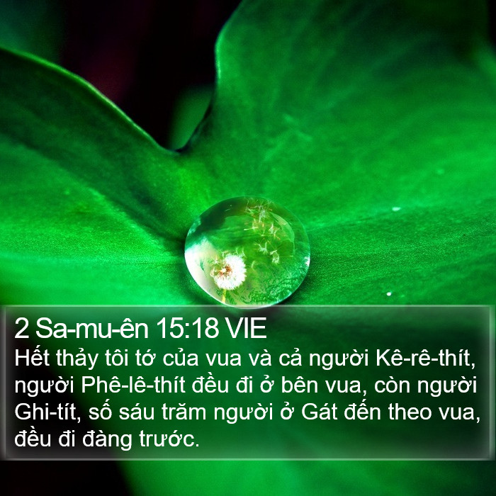 2 Sa-mu-ên 15:18 VIE Bible Study