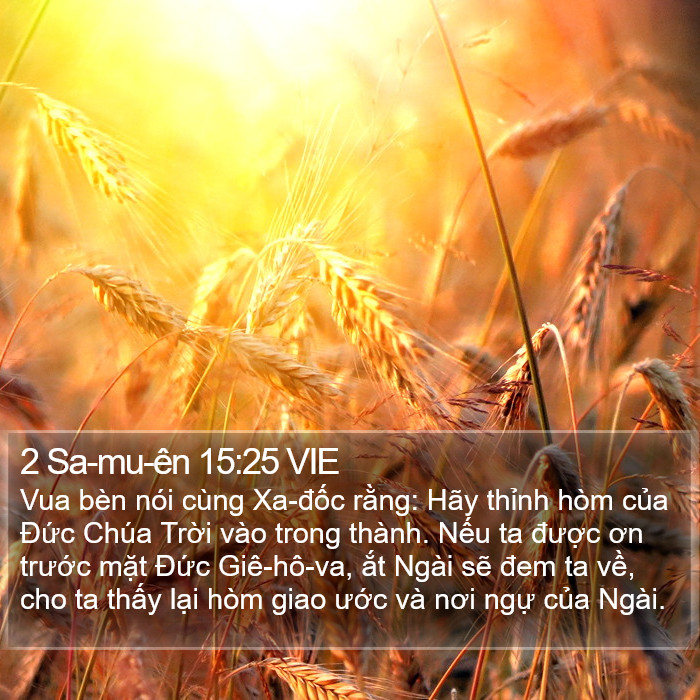 2 Sa-mu-ên 15:25 VIE Bible Study