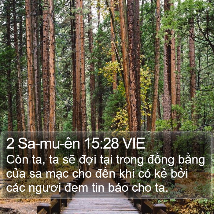 2 Sa-mu-ên 15:28 VIE Bible Study