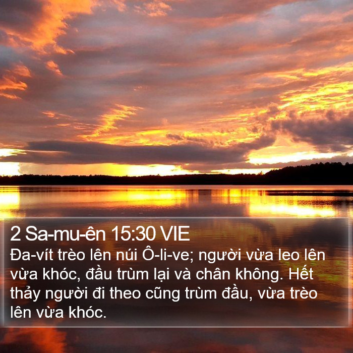 2 Sa-mu-ên 15:30 VIE Bible Study