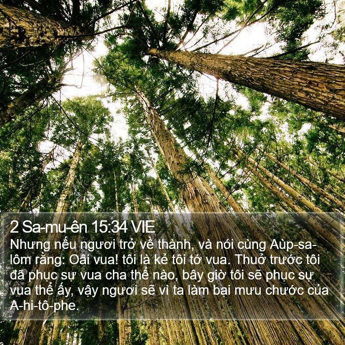 2 Sa-mu-ên 15:34 VIE Bible Study