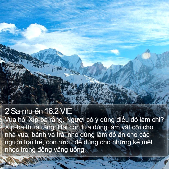 2 Sa-mu-ên 16:2 VIE Bible Study