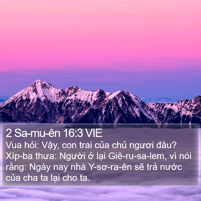 2 Sa-mu-ên 16:3 VIE Bible Study