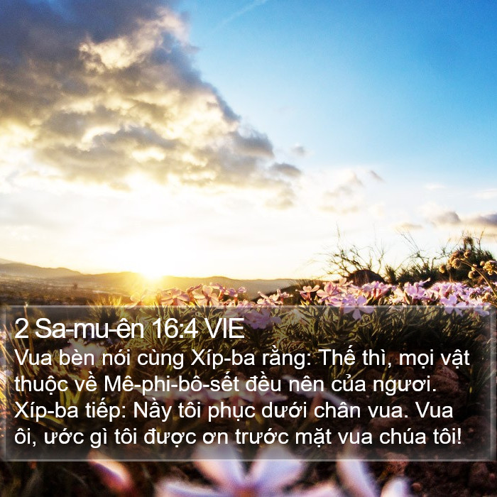 2 Sa-mu-ên 16:4 VIE Bible Study