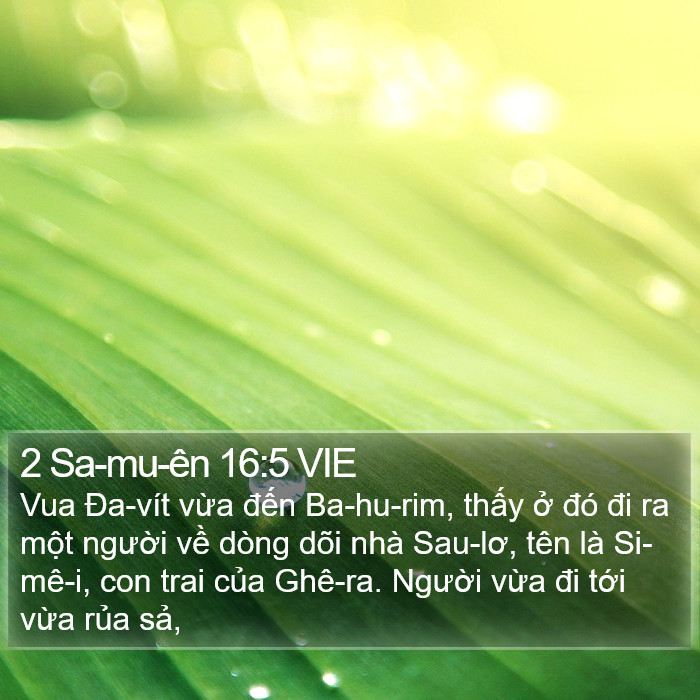 2 Sa-mu-ên 16:5 VIE Bible Study