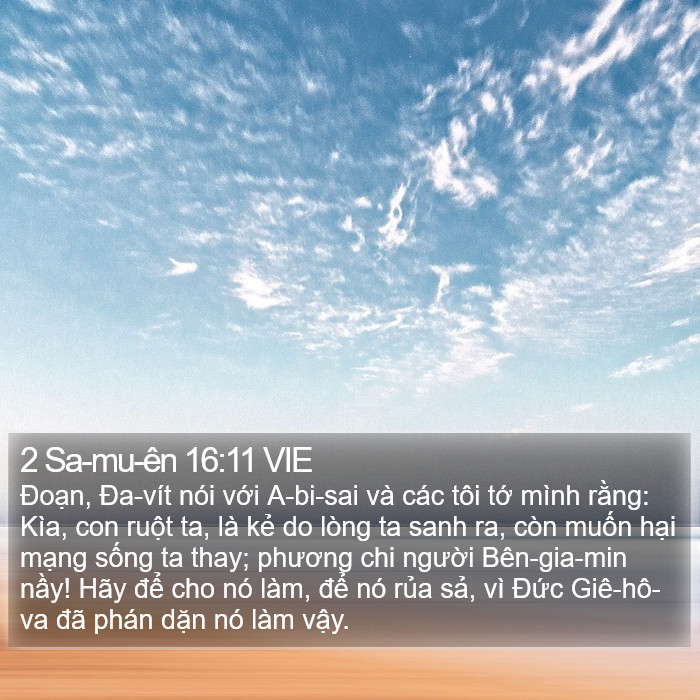 2 Sa-mu-ên 16:11 VIE Bible Study