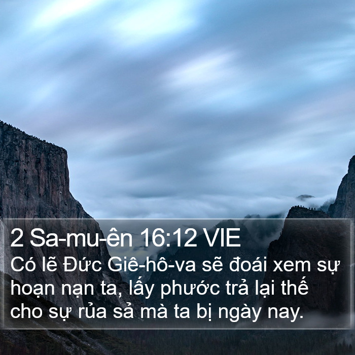 2 Sa-mu-ên 16:12 VIE Bible Study