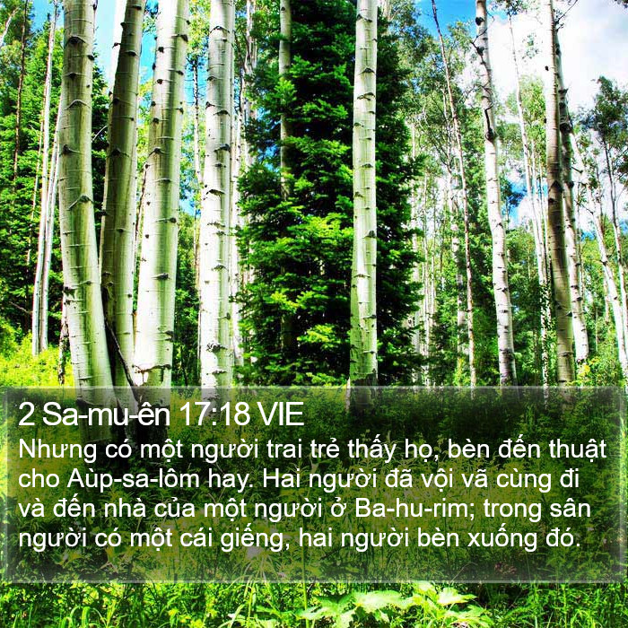 2 Sa-mu-ên 17:18 VIE Bible Study