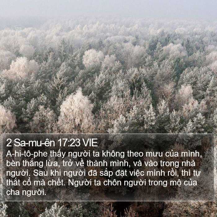 2 Sa-mu-ên 17:23 VIE Bible Study