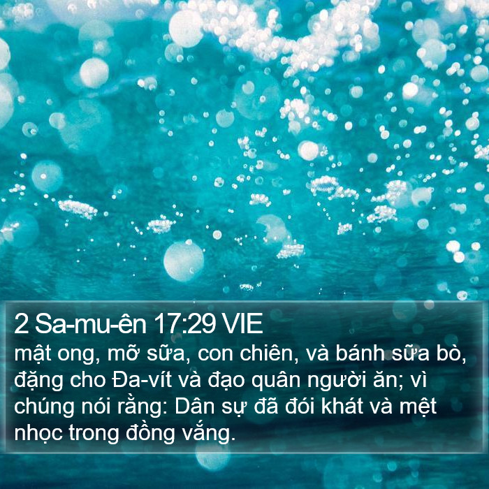 2 Sa-mu-ên 17:29 VIE Bible Study