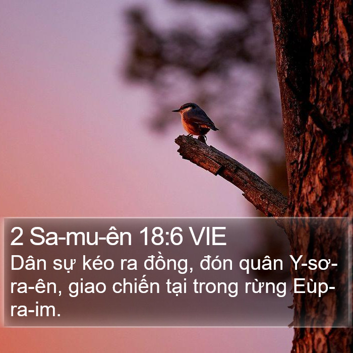 2 Sa-mu-ên 18:6 VIE Bible Study