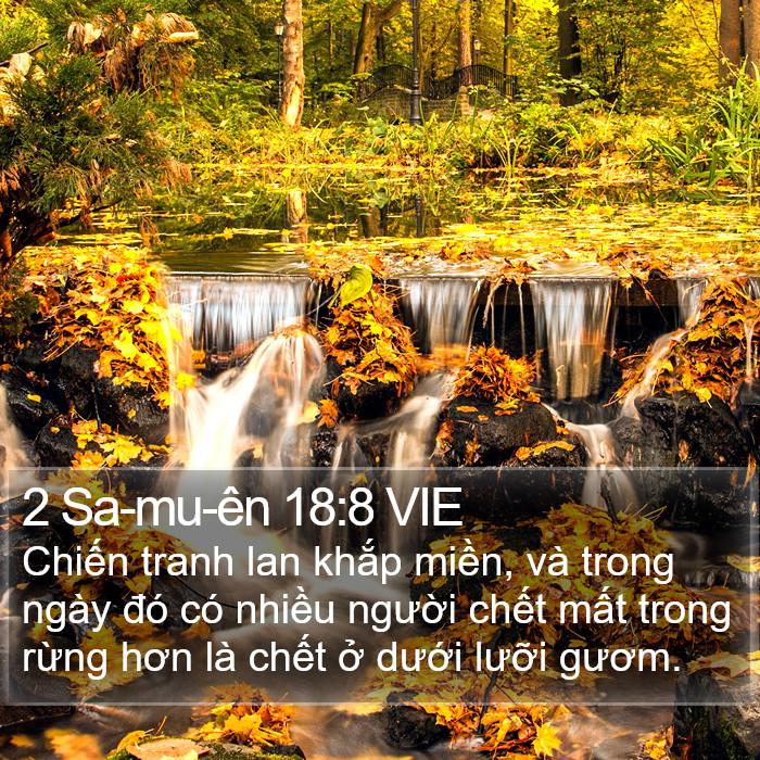 2 Sa-mu-ên 18:8 VIE Bible Study