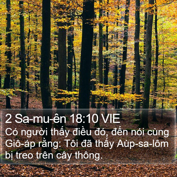 2 Sa-mu-ên 18:10 VIE Bible Study