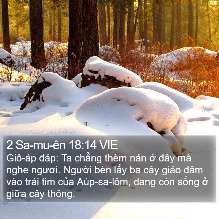 2 Sa-mu-ên 18:14 VIE Bible Study