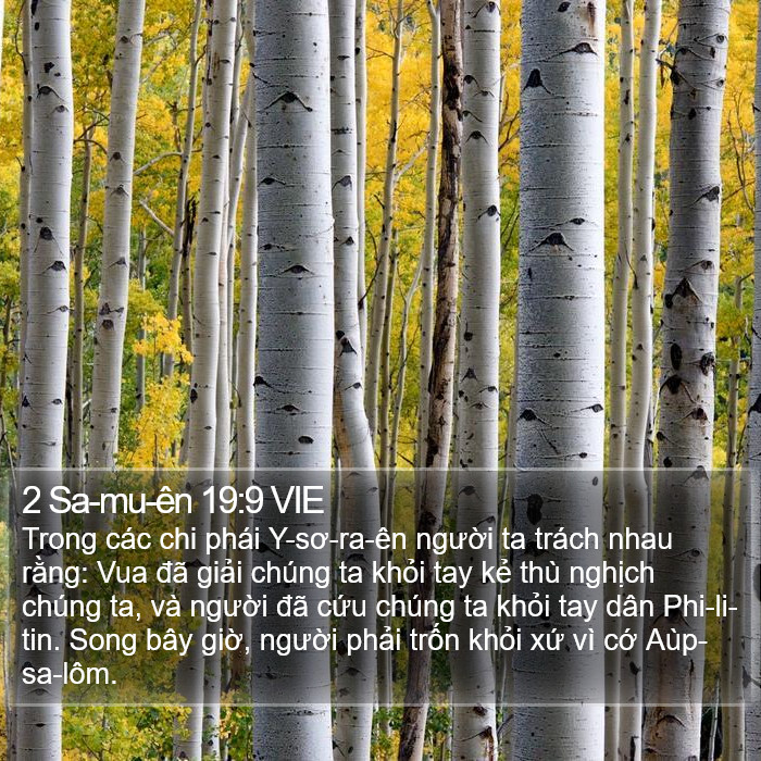 2 Sa-mu-ên 19:9 VIE Bible Study