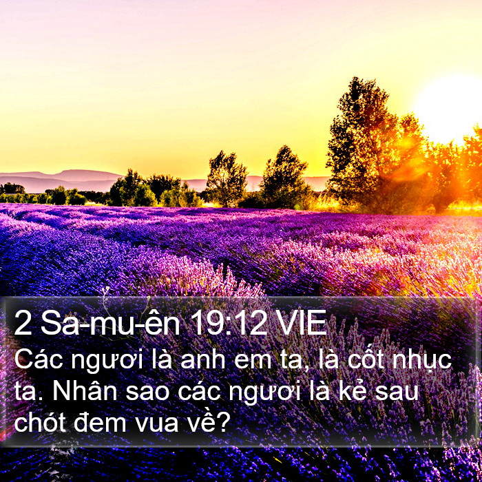 2 Sa-mu-ên 19:12 VIE Bible Study