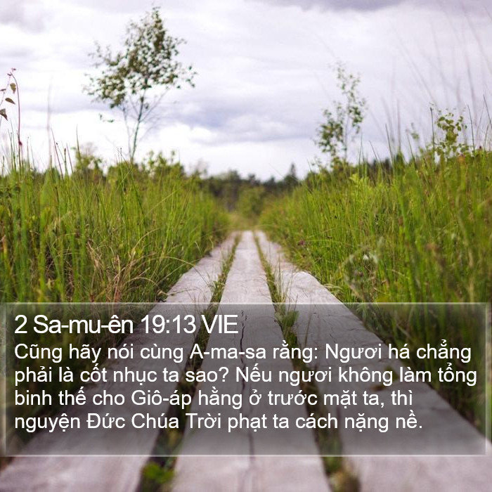 2 Sa-mu-ên 19:13 VIE Bible Study