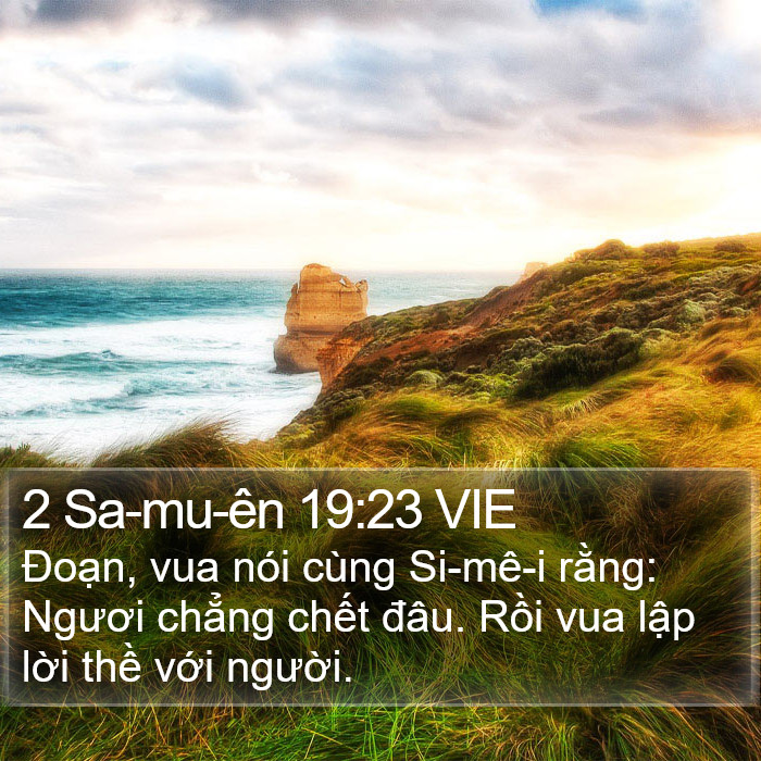 2 Sa-mu-ên 19:23 VIE Bible Study