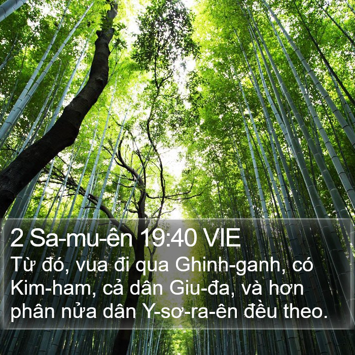 2 Sa-mu-ên 19:40 VIE Bible Study