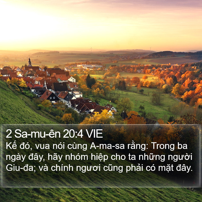 2 Sa-mu-ên 20:4 VIE Bible Study