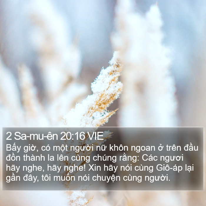 2 Sa-mu-ên 20:16 VIE Bible Study