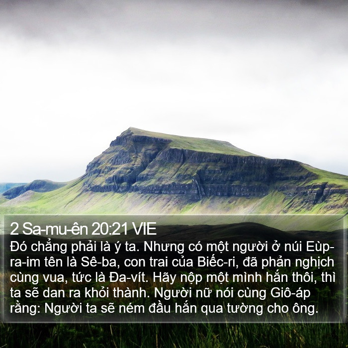 2 Sa-mu-ên 20:21 VIE Bible Study