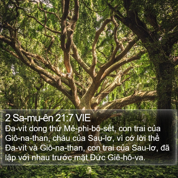 2 Sa-mu-ên 21:7 VIE Bible Study