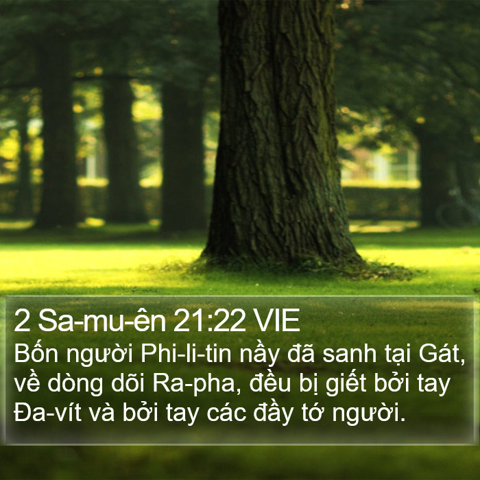 2 Sa-mu-ên 21:22 VIE Bible Study